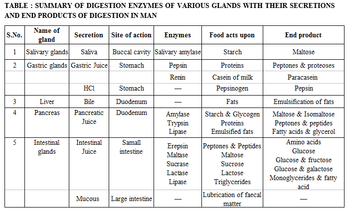 Digestive Enzymes And Their Functions Table